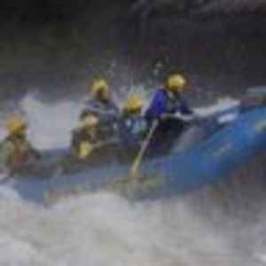 Meet your Posher, Paul